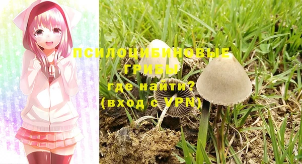 винт Михайловск
